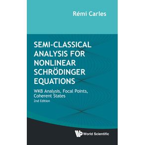 Semi-Classical-Analysis-for-Nonlinear-Schrodinger-Equations