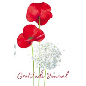 Gratetude-Journal