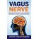 Vagus-Nerve