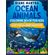 Ocean-animals-coloring-book-for-kids