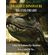 Libro-Da-Colorare-Per-Bambini---Draghi-e-Dinosauri-Da-Dipingere----Rigid-Cover-Version---Italian-Language-Edition-