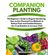 Companion-Planting