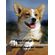 Cute-Corgi-Dog-Coloring-Book-for-Adults