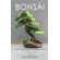 BONSAI--Cultiva-Tu-Propio-Pequeno-Jardin-Zen-Japones