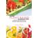 The-Ultimate-Plant-Based-Diet-Cookbook-On-A-Budget