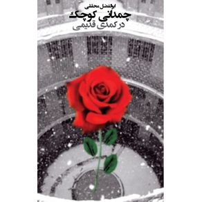 chamedani-kouchak-dar-komodi-ghadimi--A-suitcase-in-an-old-cabinet-