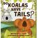 Do-Koalas-Have-Tails-