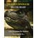 DRAGHI-E-DINOSAURI-DA-COLORARE