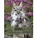 Owl-Coloring-Book-for-Kids