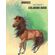 Horse-coloring-book-for-adults