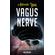 ACTIVATE-YOUR-VAGUS-NERVE