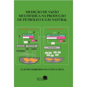 MEDICAO-DE-VAZAO-MULTIFASICA-NA-PRODUCAO-DE-PETROLEO-E-GAS-NATURAL