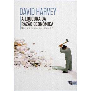 Loucura-Da-Razao-Economica-A