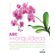 O-ABC-das-orquideas