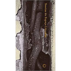 Teorias-Do-Espaco-Literario