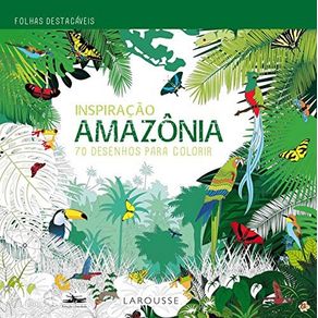 Inspiracao-Amazonia