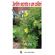 Jardim-secreto-e-um-colibri