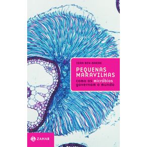 Pequenas-maravilhas