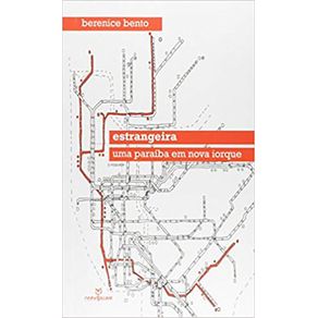 Estrangeira--Uma-Paraiba-em-Nova-Iorque