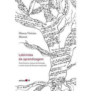 Labirintos-da-aprendizagem---pacto-faustico-romance-de-formacao-e-outros-temas-de-literatura-comparada
