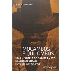 Mocambos-e-quilombos