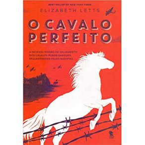 O-cavalo-perfeito