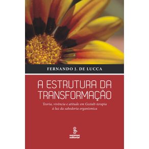 A-ESTRUTURA-DA-TRANSFORMACAO
