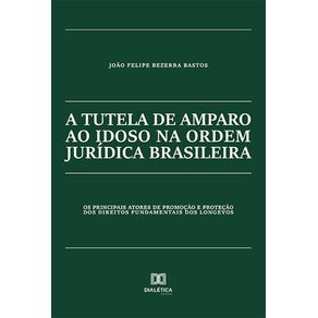A-tutela-de-amparo-ao-idoso-na-ordem-juridica-brasileira--os-principais-atores-de-promocao-e-protecao-dos-direitos-fundamentais-dos-longevos