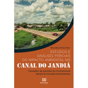 Estudos-e-analises-periciais-do-impacto-ambiental-no-Canal-do-Jandia--Causador-de-poluicao-do-rio-Amazonas-devido-as-invasoes-permanentes