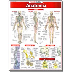 Resumao-Medicina---Anatomia