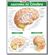 Resumao---Anatomia-do-Cerebro