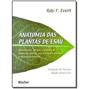 Anatomia-das-plantas-de-Esau