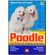 Poodle