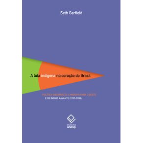 A-luta-indigena-no-coracao-do-Brasil