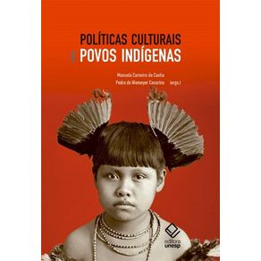 Politicas-culturais-e-povos-indigenas