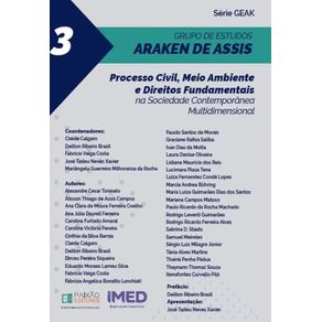 Processo-Civil-Meio-Ambiente-e-Direitos-Fundamentais--Na-Sociedade-Contemporanea-Multidimensional