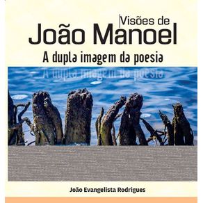 Visoes-de-Joao-Manoel---A-dupla-imagem-da-poesia