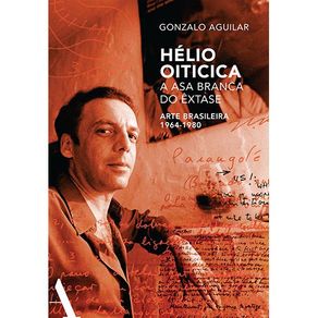 Helio-Oiticica--a-asa-branca-do-extase--Arte-brasileira-de-1964-1980