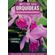 Mestre-das-Orquideas---Volume-1--Cattleya-labiata