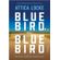 Bluebird-Bluebird---Amor-justica-e-tensao-racial-no-coracao-do-Texas