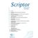 Scriptor--Ano-10-N.-10-2019