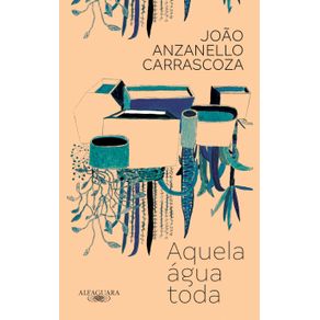 Aquela-agua-toda