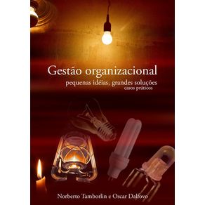 Gestao-Organizacional--Pequenas-Ideias-Grandes-Solucoes.-Casos-Praticos