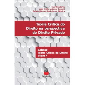 Teoria-critica-do-Direito-na-perspectiva-do-Direito-Privado---Volume-7---Colecao-Teoria-critica-do-Direito