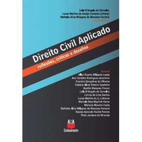 Direito-civil-aplicado---reflexoes-criticas-e-desafios-Belo-Horizonte-reflexoes-criticas-e-desafios