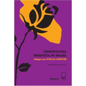 Criminologia-feminista-no-Brasil---dialogos-com-Soraia-Mendes