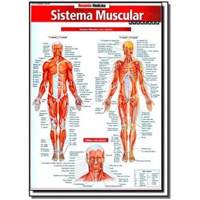 Resumao-Medicina---Sistema-Muscular-Avancado