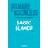 Barro-Blanco