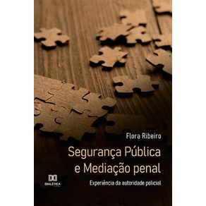 Seguranca-Publica-e-Mediacao-penal