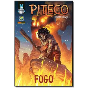 Graphic-MSP---Piteco---Fogo